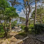 Pyla Sur 150m Vue Bassin לה-טסט-דה-בוש