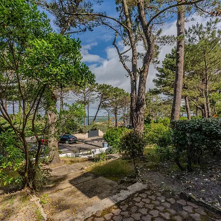 Pyla Sur 150m Vue Bassin La Teste-de-Buch